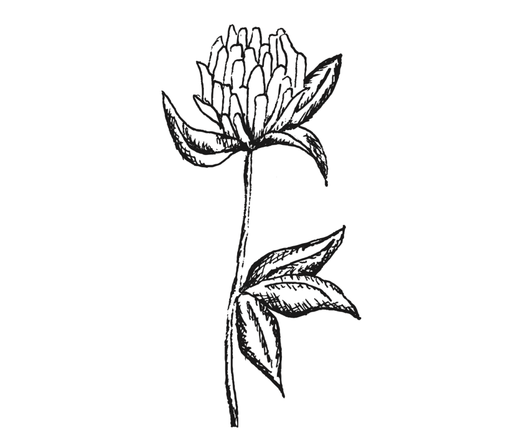 screenshot 2025 11 25 at 10.34.50 a.m. screenshot 2025 11 25 at 10.34.50 a.m.