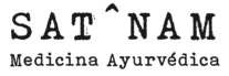 satnam logo