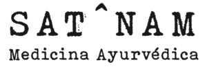 satnam logo